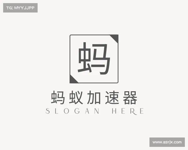 发现蚂蚁加速器